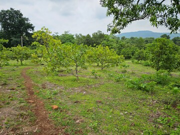 Plot Area in  Land at Mangaon – for Sale