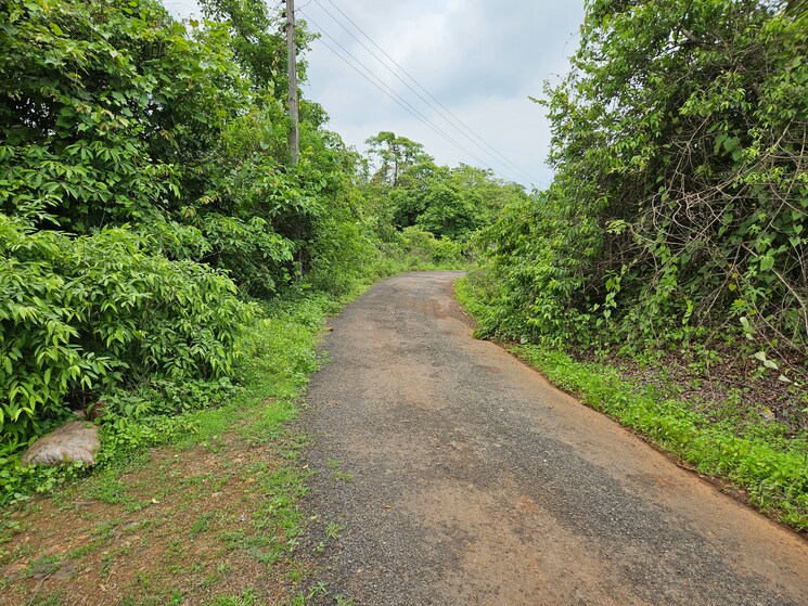 Garden, mangaon Commercial Land 7 Acre In Mangaon Raigad 8808999