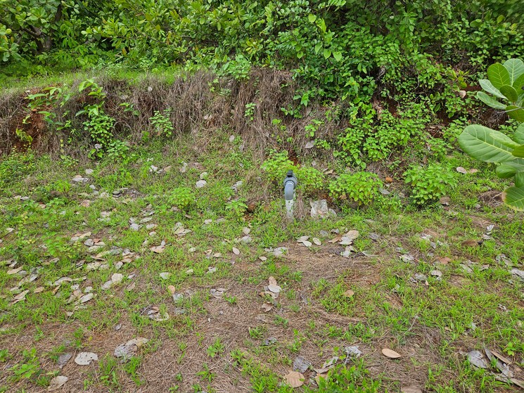 undefined, mangaon Commercial Land 7 Acre In Mangaon Raigad 8808999