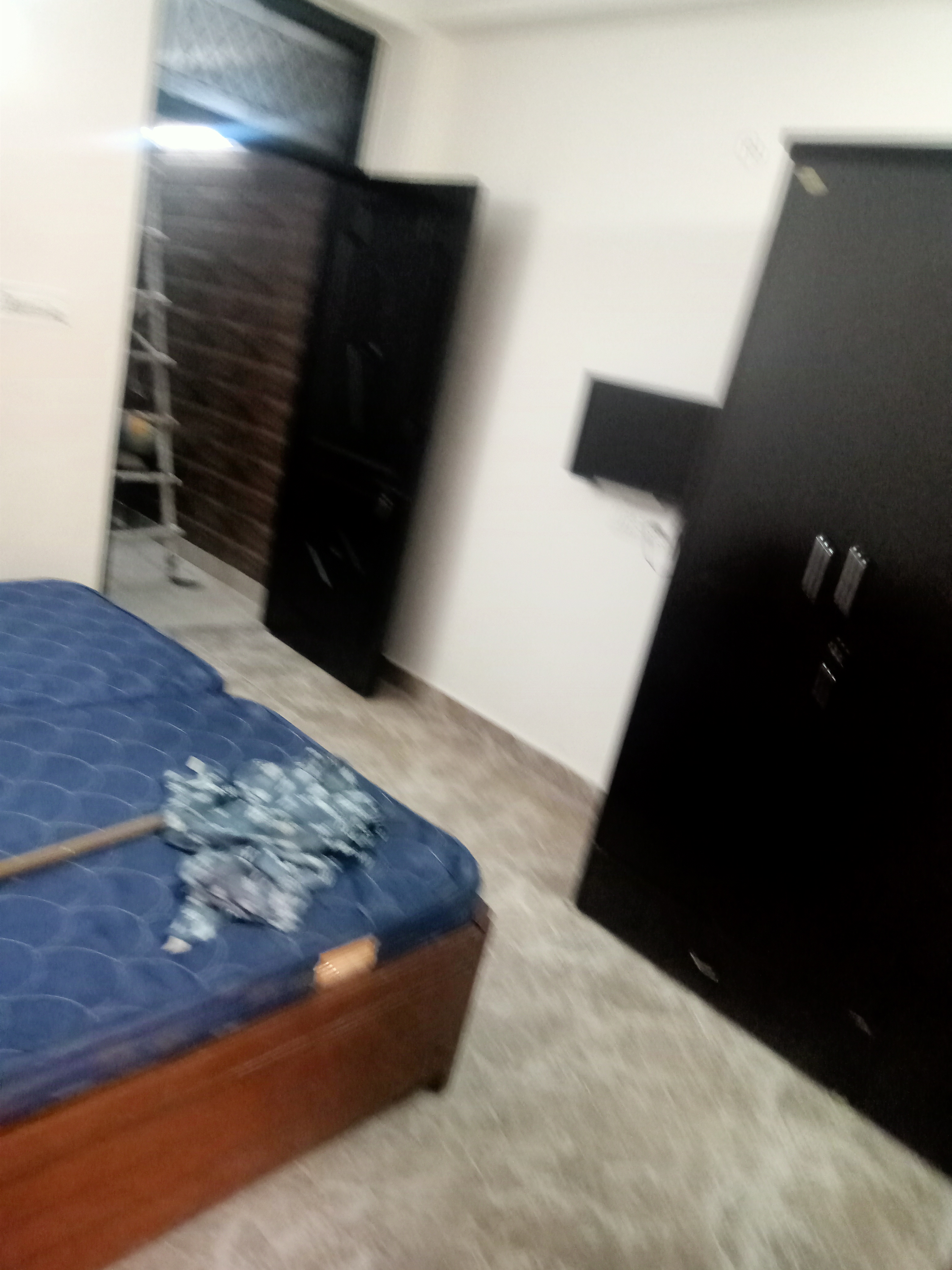 2 BHK + Pooja Room Builder Floor For Rent in Paryavaran Complex