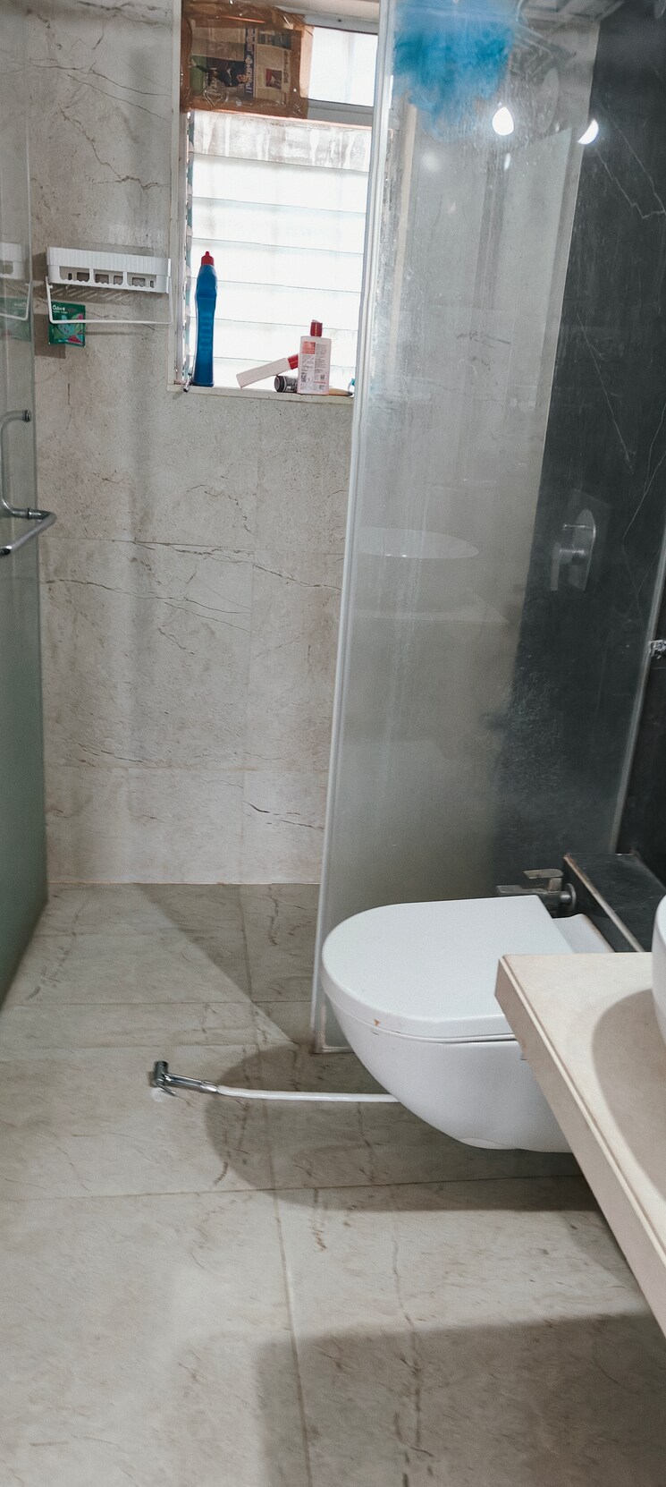 Bathroom, dosti-west-county 2 Bedroom 800 Sq.Ft. Apartment In Balkum Pada Thane 8809312