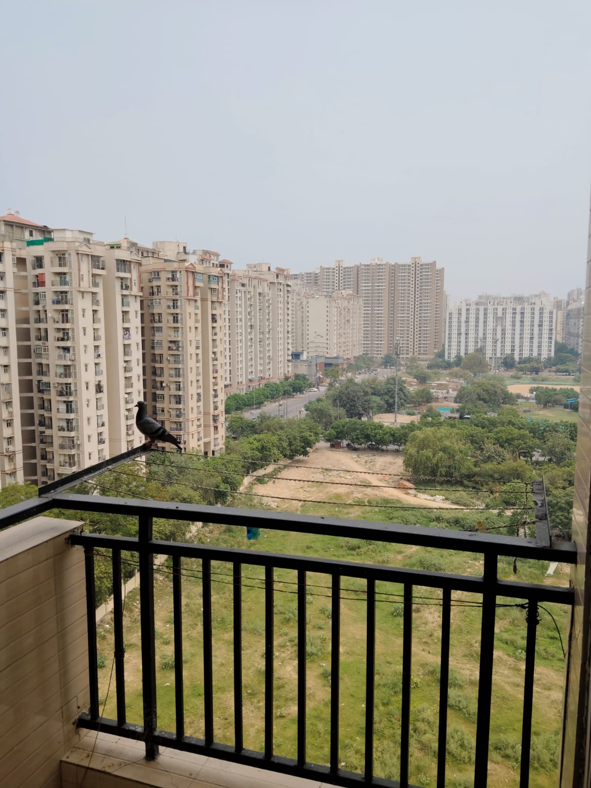 3 BHK + Extra Room Apartment For Rent in Sethi Max Royale