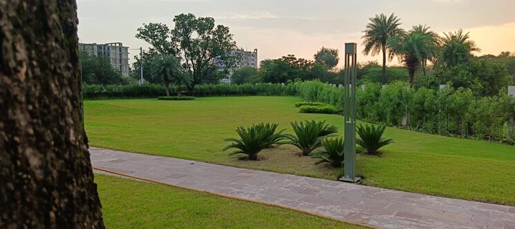 Garden, palakhedi  1100 Sq.Ft. Plot In Palakhedi Indore 8809399