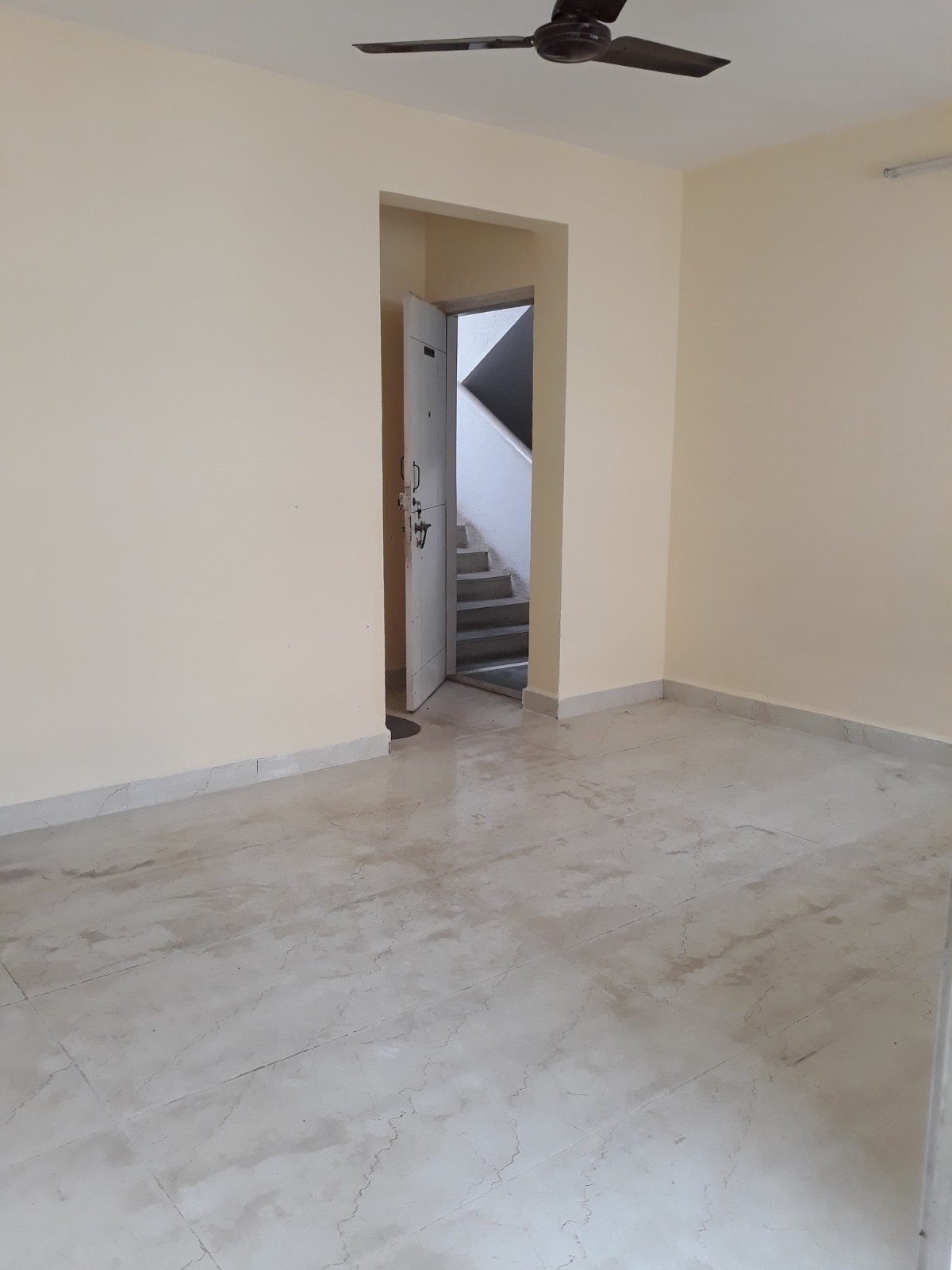 1 BHK + Pooja Room 580 Sq.Ft. Apartment in Lunkad Daffodils