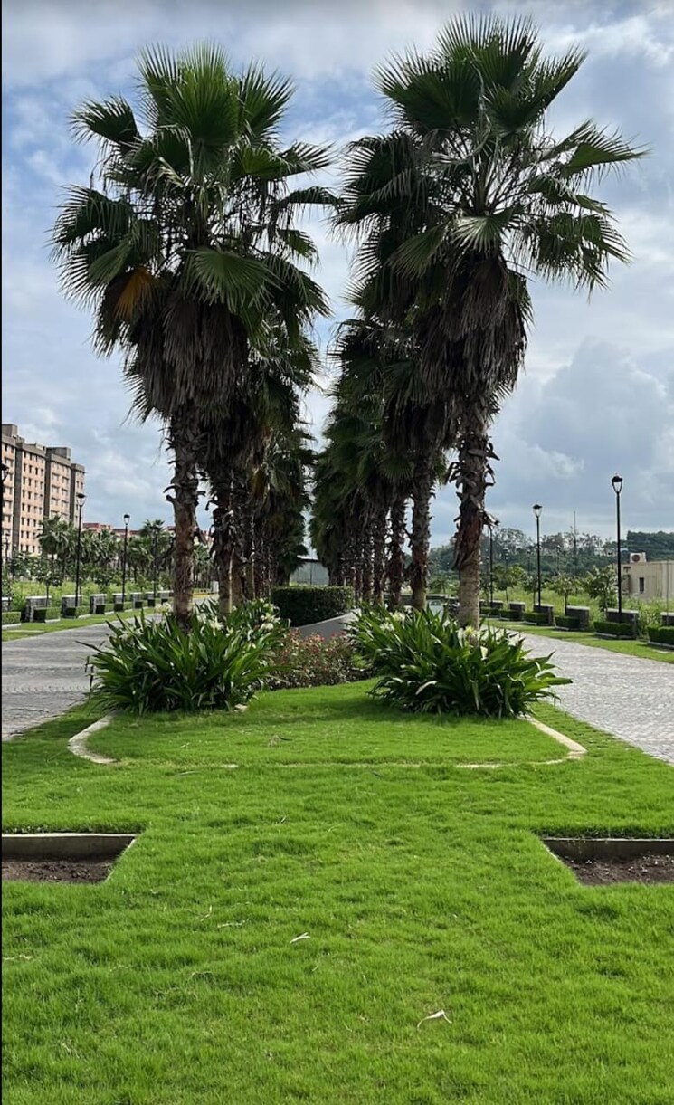 Garden, super corridor  750 Sq.Ft. Plot In Super Corridor Indore 8809483