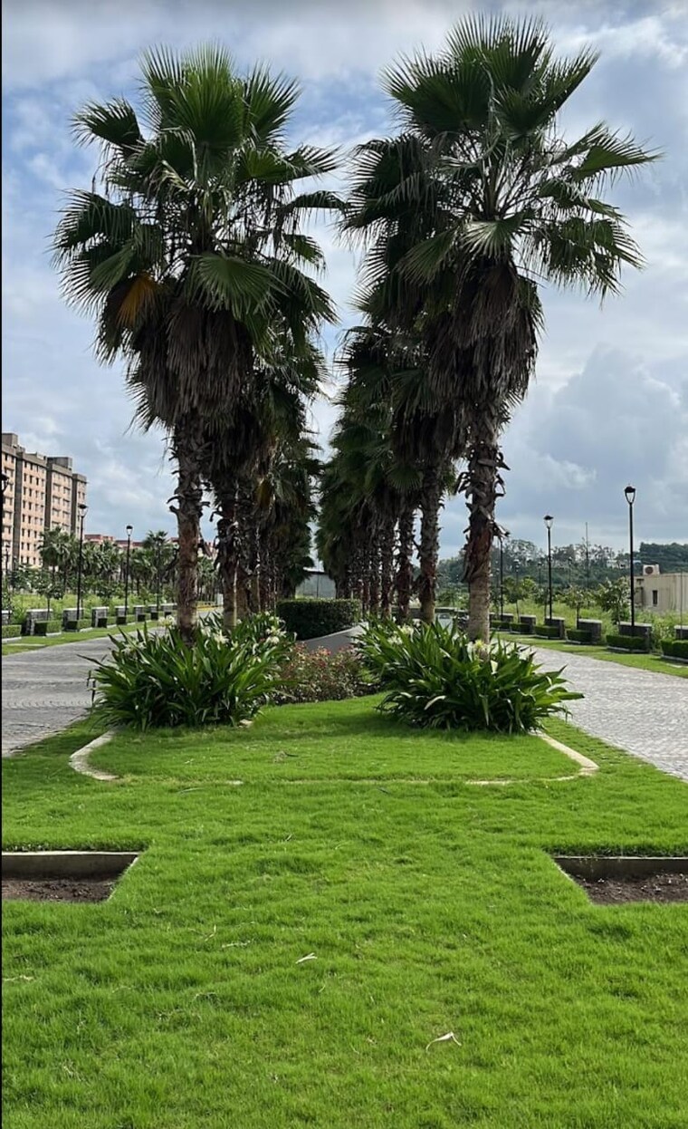 Garden, super corridor  750 Sq.Ft. Plot In Super Corridor Indore 8809483