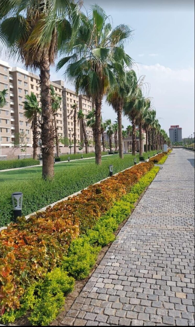 Garden, super corridor  750 Sq.Ft. Plot In Super Corridor Indore 8809483