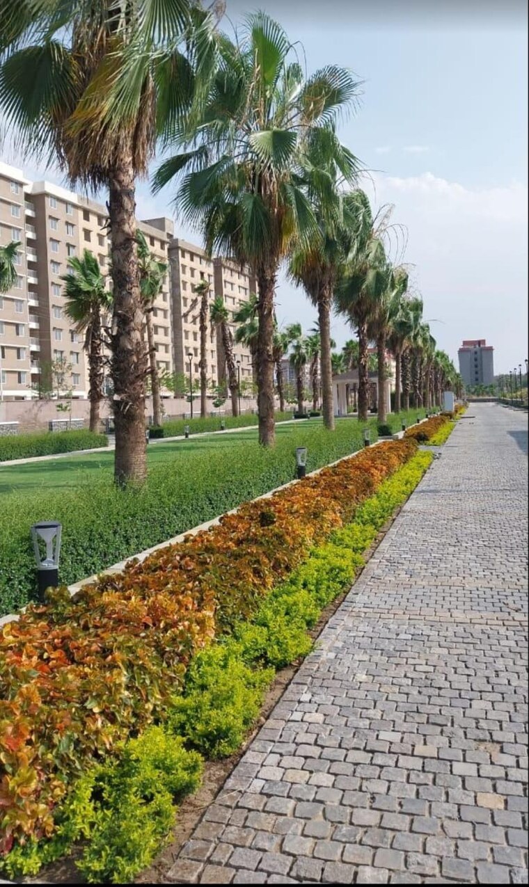 Garden, super corridor  750 Sq.Ft. Plot In Super Corridor Indore 8809483