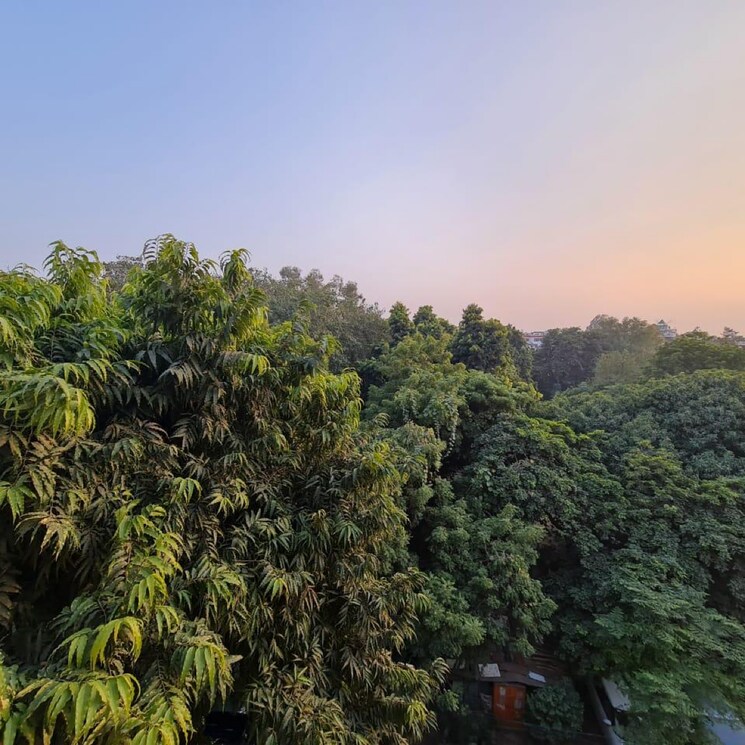 Garden, veera-safdarjung-enclave 4 Bedroom 2700 Sq.Ft. Builder Floor In Safdarjung Enclave Delhi 8809488