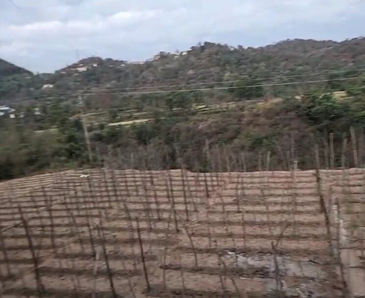 undefined, kandaghat  9900 Sq.Yd. Plot In Kandaghat Solan 8809581