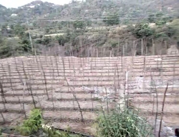 undefined, kandaghat  9900 Sq.Yd. Plot In Kandaghat Solan 8809581