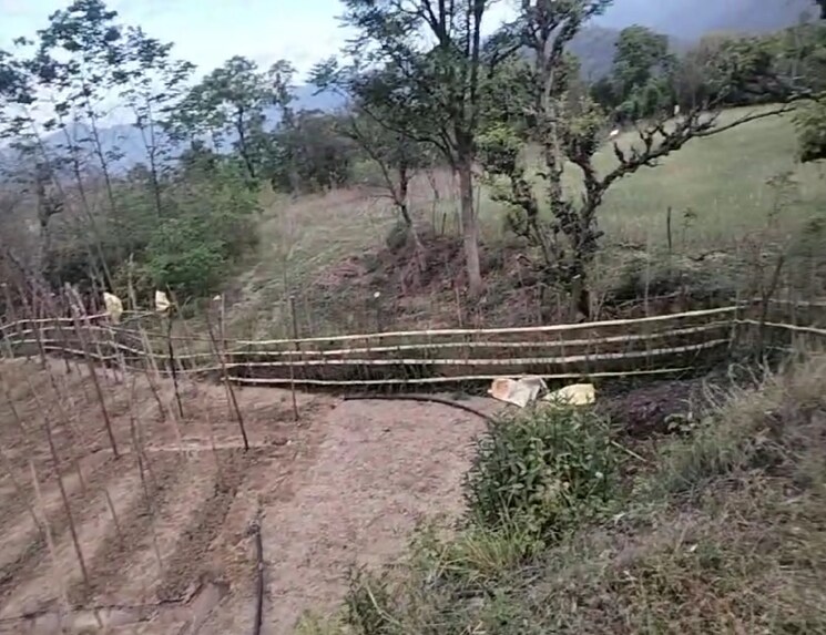 undefined, kandaghat  9900 Sq.Yd. Plot In Kandaghat Solan 8809581