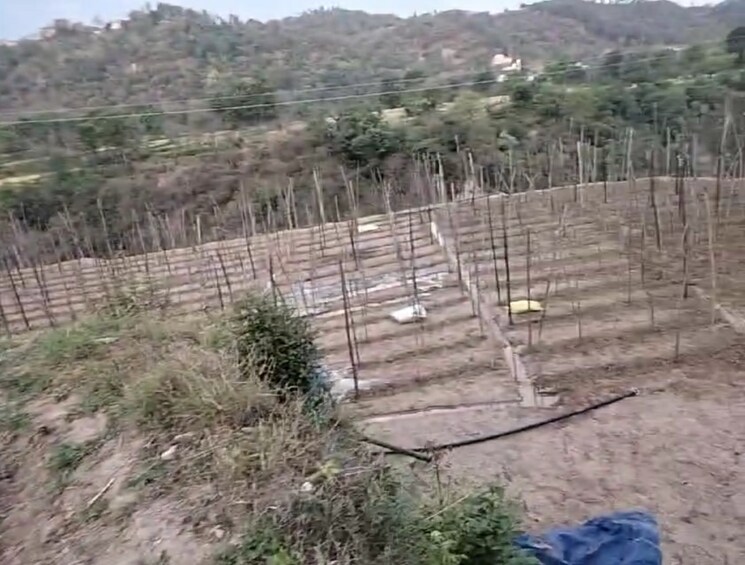 undefined, kandaghat  9900 Sq.Yd. Plot In Kandaghat Solan 8809581