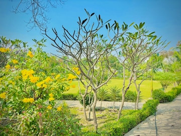 Plot Area in  Plot at Zestha Bhagirath Vihar Residency, Sector 27 Yamuna Expressway – for Sale