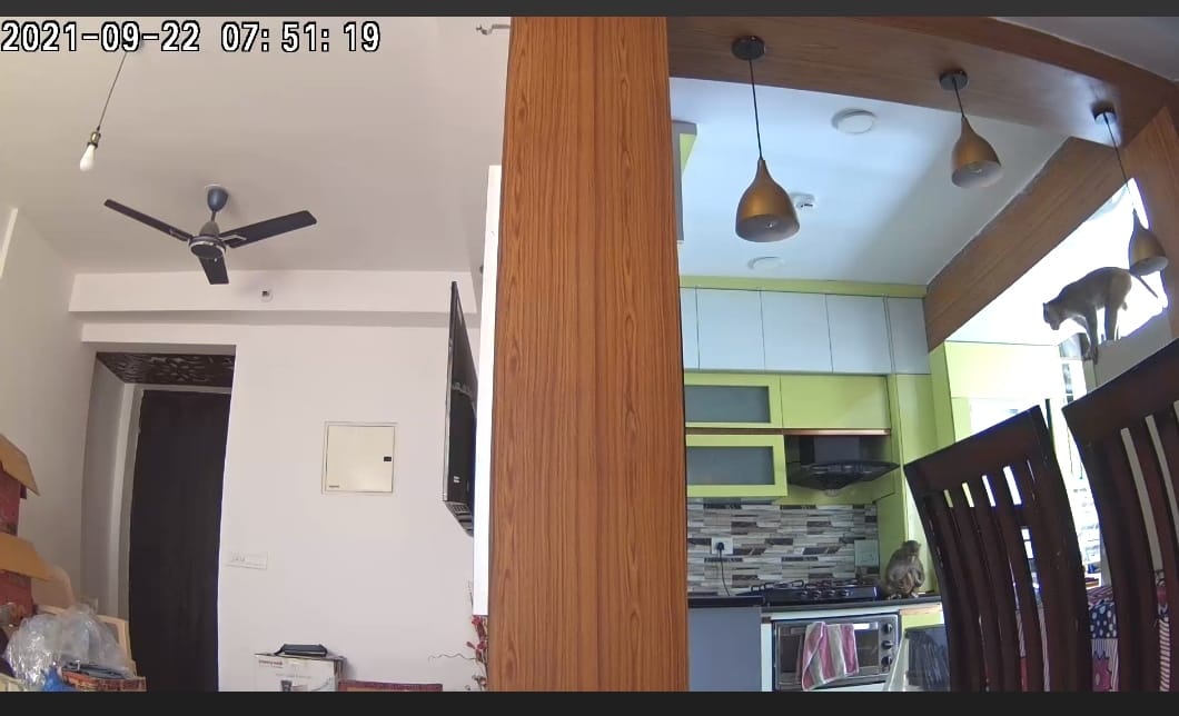 2 BHK Apartment For Rent in 3C Lotus Zing