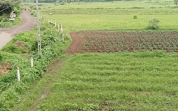 Land For Sale in Vadsar
