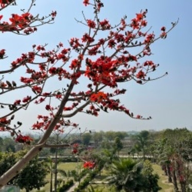 Map Location, zestha-bhagirath-vihar-residency  144 Sq.Yd. Plot In Sector 27 Yamuna Expressway Greater Noida 8809858