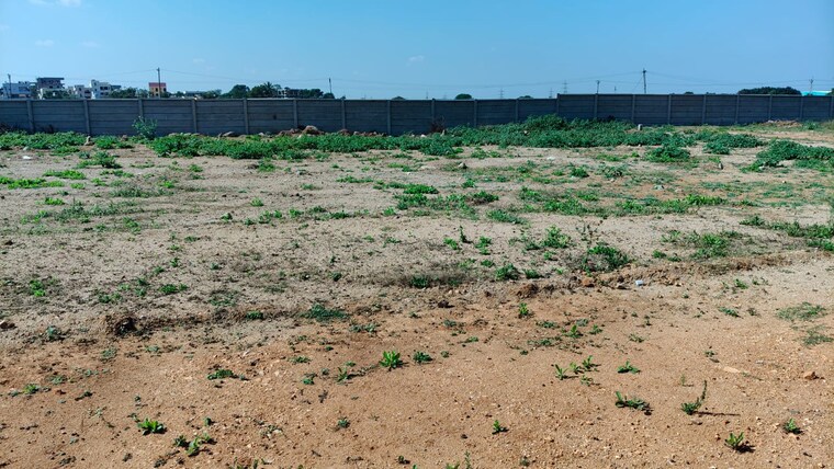 undefined, prakash-suradru  198 Sq.Yd. Plot In Rudraram Hyderabad 8809997