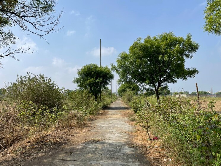 Garden, omicron iii greater noida  120 Sq.Mt. Plot In Omicron Iii Greater Noida Greater Noida 8810300