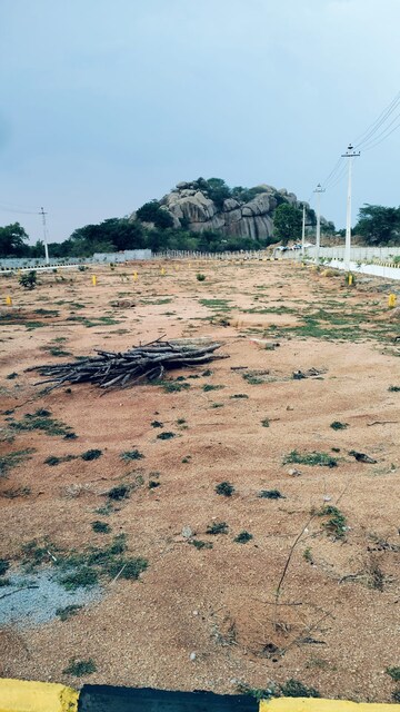 Plot Area in  Plot at Shadnagar – for Sale