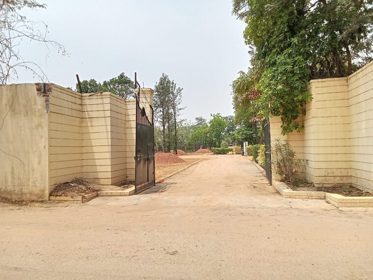 Exterior View, bhondsi  100 Sq.Yd. Plot In Bhondsi Gurgaon 8810573