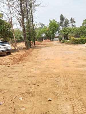Plot Area in  Plot at Bhondsi – for Sale