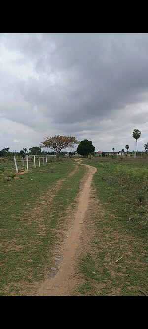  Plot For Sale in Shamshabad