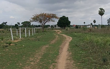 Plot For Sale in Shamshabad