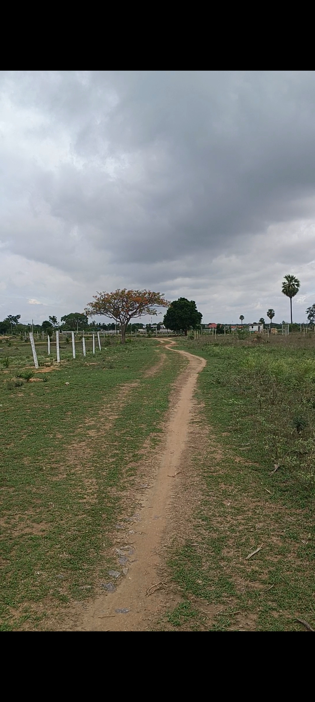 Plot For Sale in Shamshabad