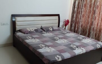 1 RK Apartment For Rent in Penta Homes, Vip Road