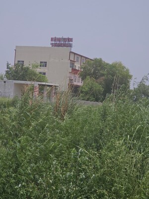  Plot – Garden View at Badhpura - for Sale