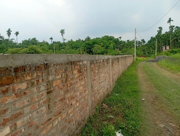 Plot Area in  Plot at Amtala – for Sale