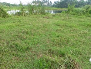 Plot Area in  Plot at Amtala – for Sale