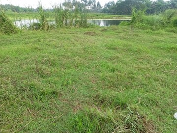 Plot Area in  Plot at Amtala – for Sale