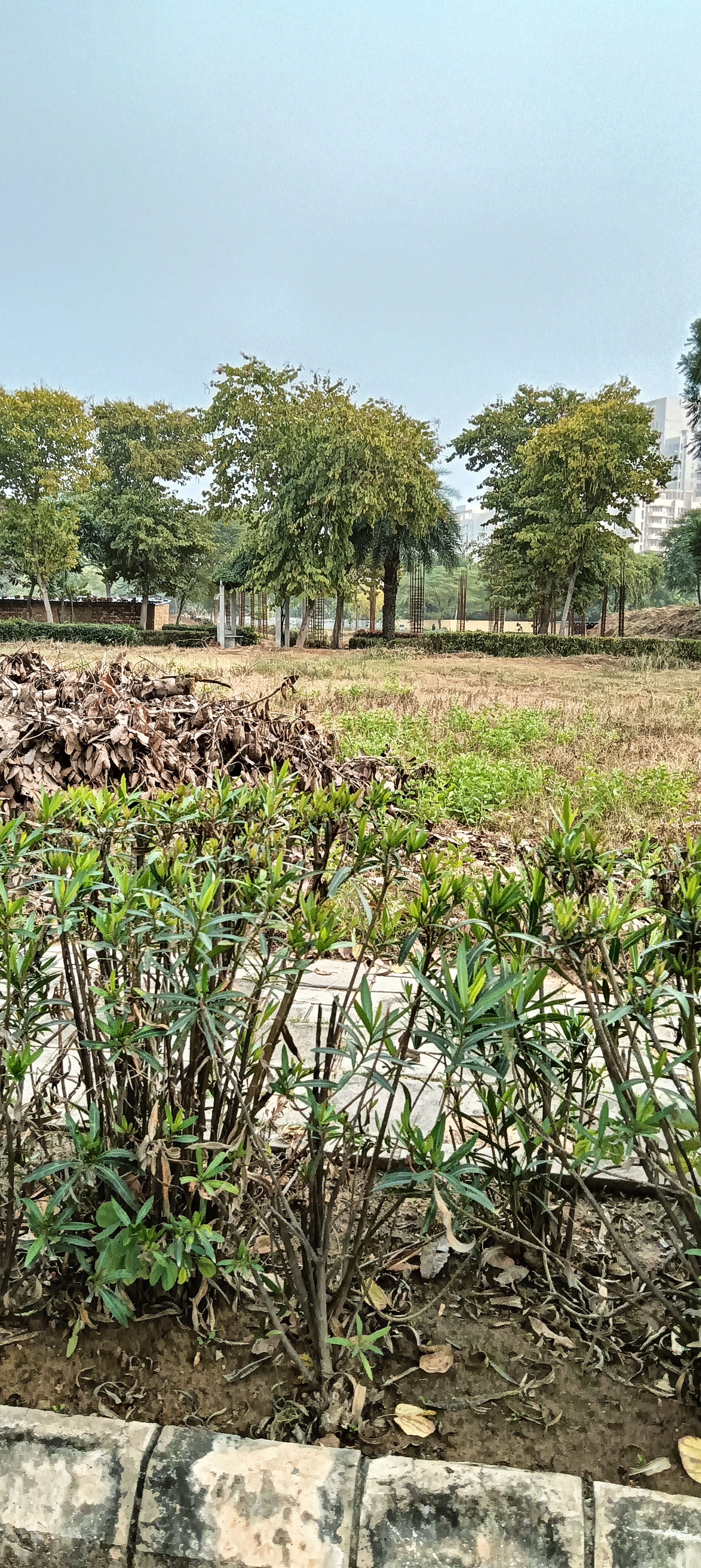 Plot For Sale in Adani Oyster Greens