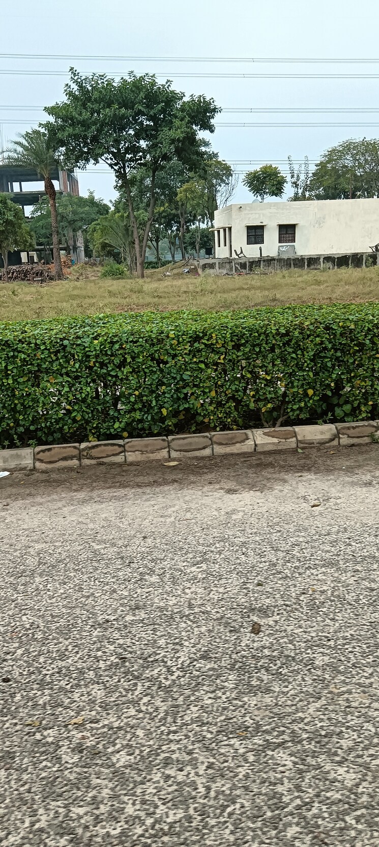 undefined, adani-oyster-greens  177 Sq.Yd. Plot In Sector 102 Gurgaon 8810954