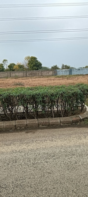 Plot Area in  Plot at Adani Oyster Greens, Sector 102 – for Sale