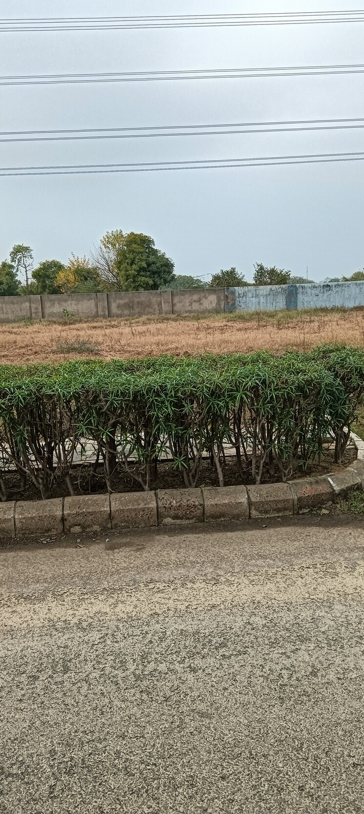 undefined, adani-oyster-greens  177 Sq.Yd. Plot In Sector 102 Gurgaon 8810954