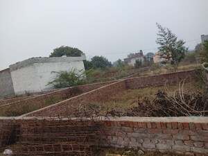 Plot Area in  Plot at Dholera – for Sale