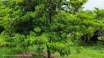Plot Area in  Land at Chengalpattu – for Sale