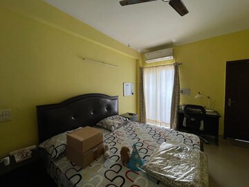 Living Room in 3.5 BHK Apartment at Paramount Floraville, Sector 137 – for Rent
