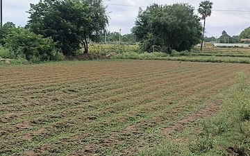 Plot For Sale in Shamshabad