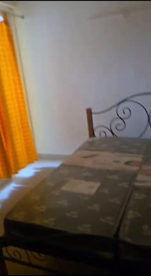 2 BHK Apartment For Rent in Logix Blossom Greens