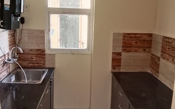 2 BHK Apartment For Rent in Amrapali Dream Valley, Tech Zone 4 Greater Noida