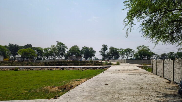 undefined, mopka  1200 Sq.Ft. Plot In Mopka Bilaspur 8811424