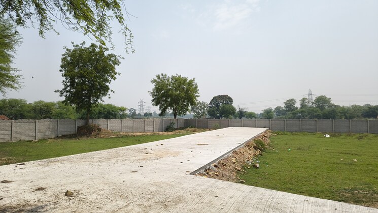 undefined, mopka  1200 Sq.Ft. Plot In Mopka Bilaspur 8811432