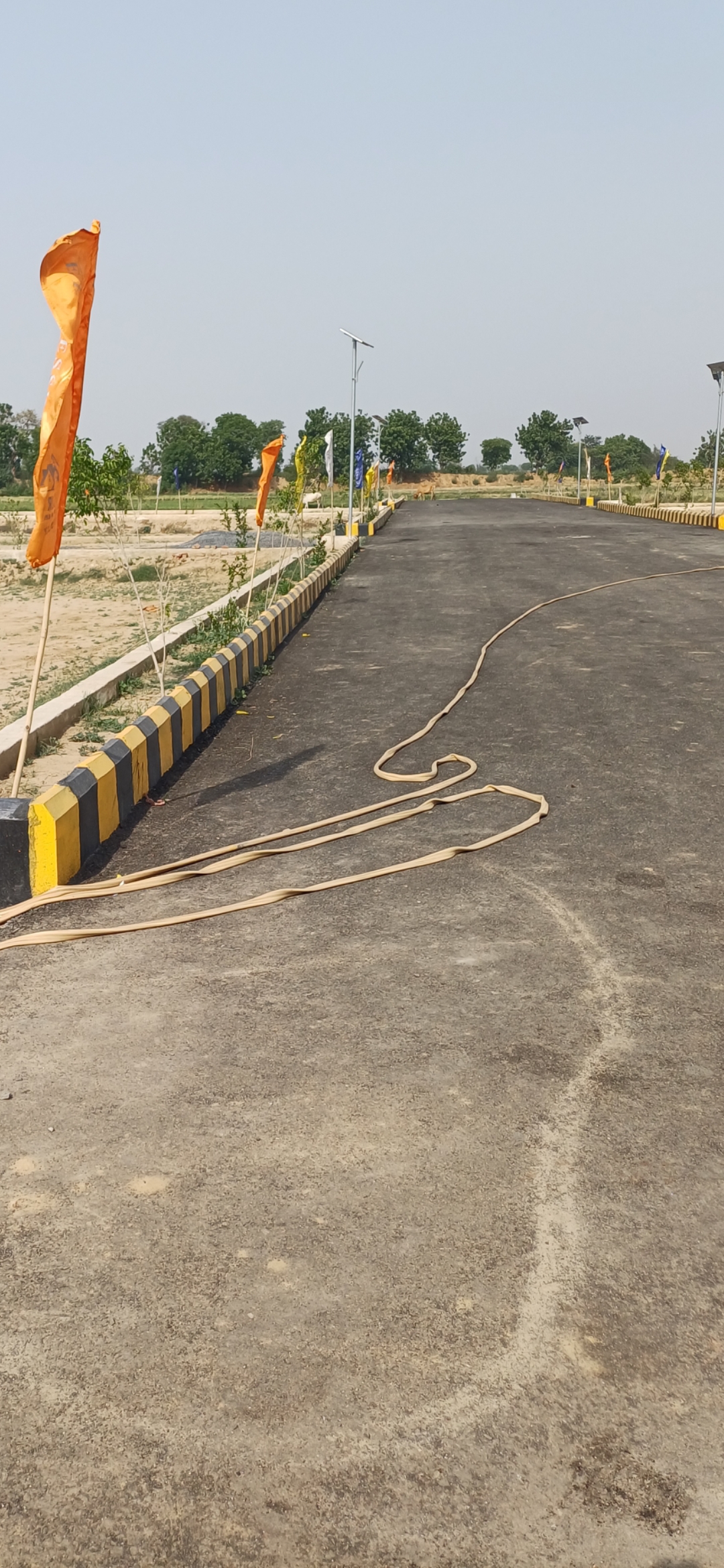 Plot For Sale in Harit City 