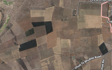 Plot For Sale in Dholka