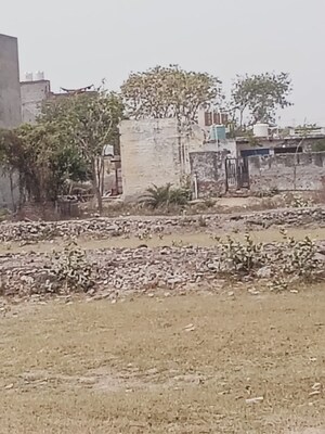  Plot For Sale in Dholera