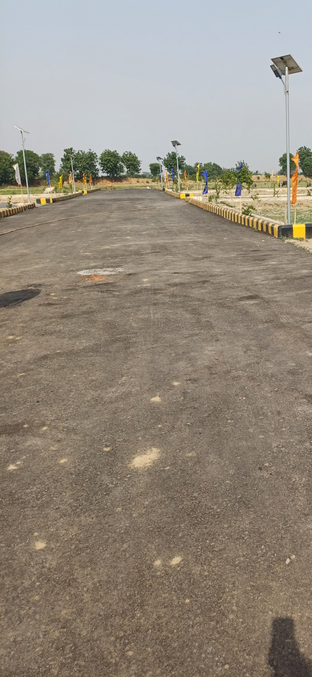 Plot For Sale in Harit City 